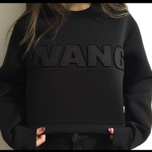 Alexander Wang and HM top
